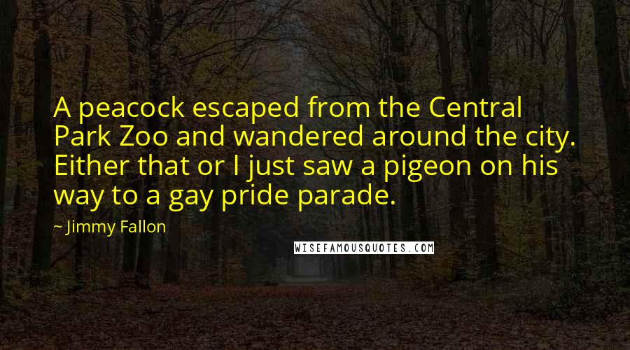 Jimmy Fallon Quotes: A peacock escaped from the Central Park Zoo and wandered around the city. Either that or I just saw a pigeon on his way to a gay pride parade.