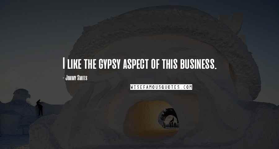 Jimmy Smits Quotes: I like the gypsy aspect of this business.