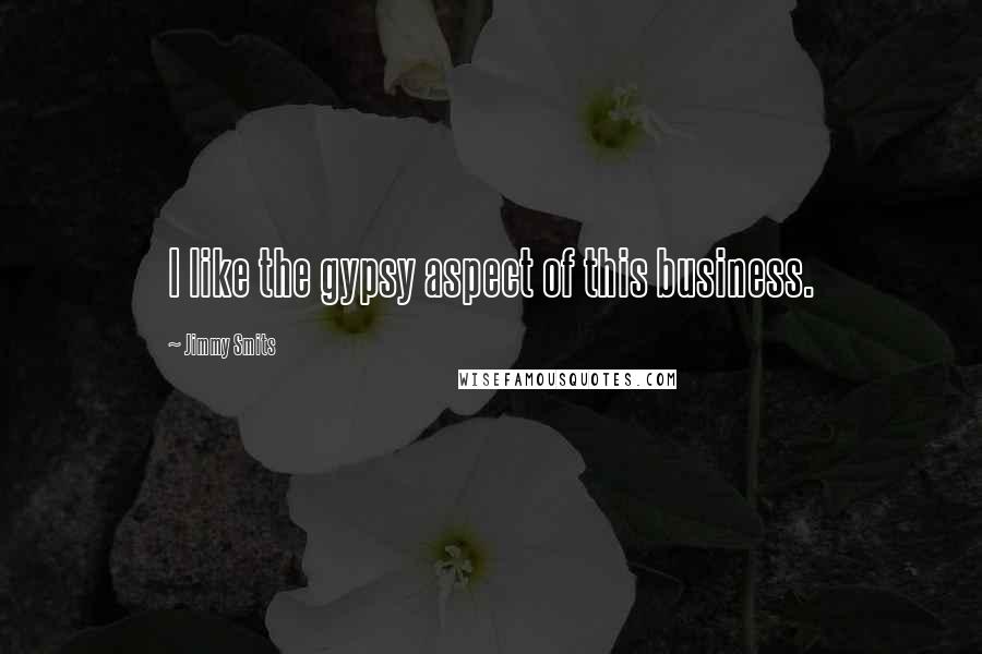 Jimmy Smits Quotes: I like the gypsy aspect of this business.