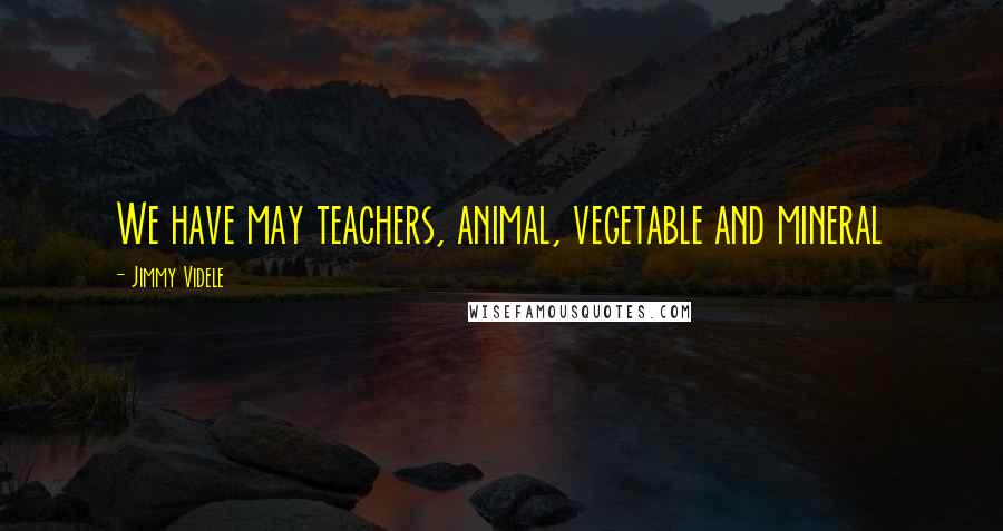 Jimmy Videle Quotes: We have may teachers, animal, vegetable and mineral