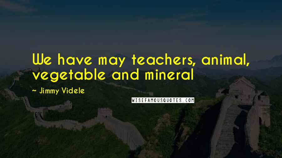 Jimmy Videle Quotes: We have may teachers, animal, vegetable and mineral