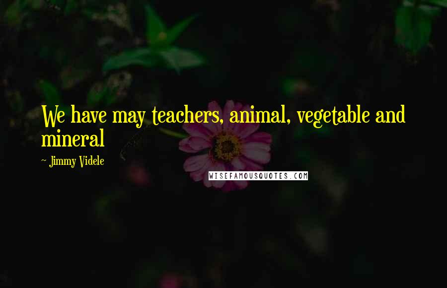 Jimmy Videle Quotes: We have may teachers, animal, vegetable and mineral