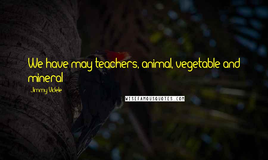 Jimmy Videle Quotes: We have may teachers, animal, vegetable and mineral