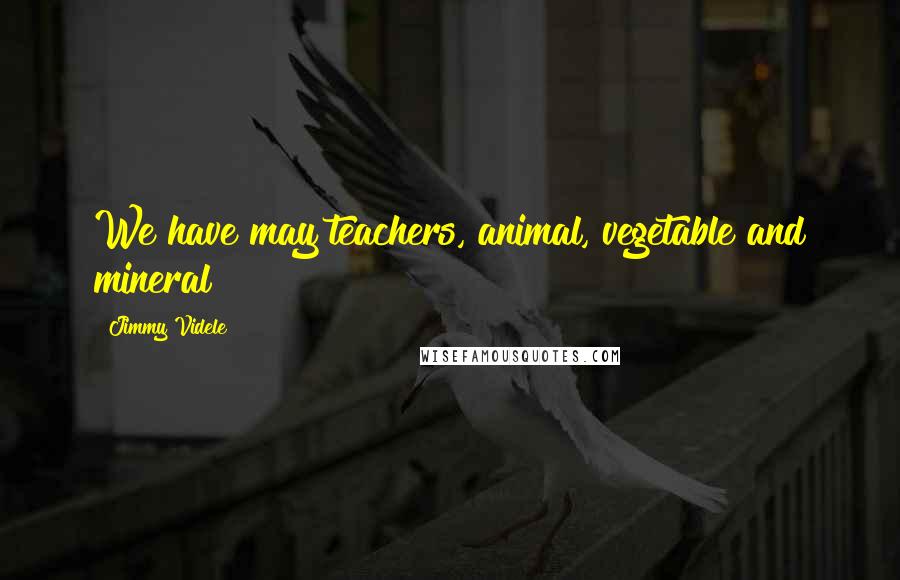 Jimmy Videle Quotes: We have may teachers, animal, vegetable and mineral