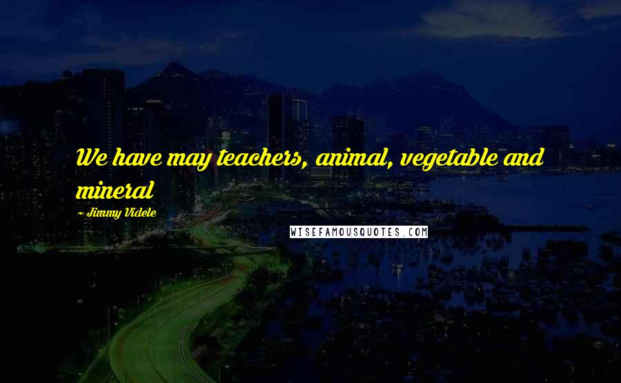 Jimmy Videle Quotes: We have may teachers, animal, vegetable and mineral