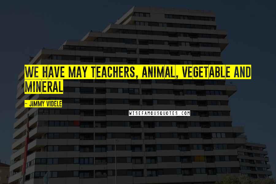 Jimmy Videle Quotes: We have may teachers, animal, vegetable and mineral