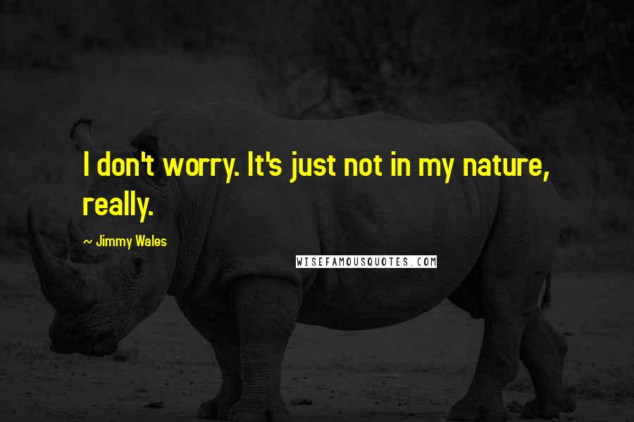 Jimmy Wales Quotes: I don't worry. It's just not in my nature, really.