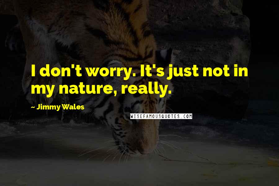 Jimmy Wales Quotes: I don't worry. It's just not in my nature, really.