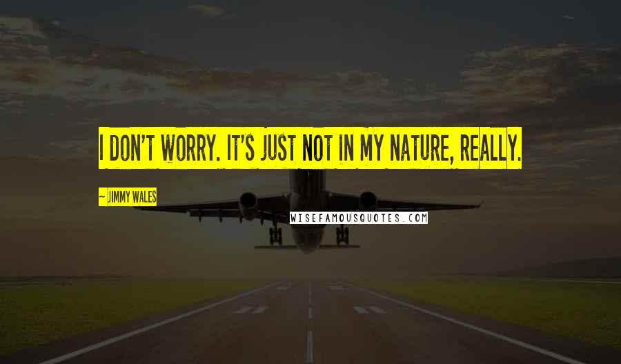 Jimmy Wales Quotes: I don't worry. It's just not in my nature, really.