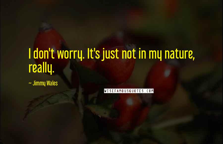 Jimmy Wales Quotes: I don't worry. It's just not in my nature, really.