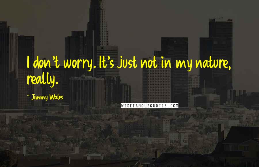 Jimmy Wales Quotes: I don't worry. It's just not in my nature, really.