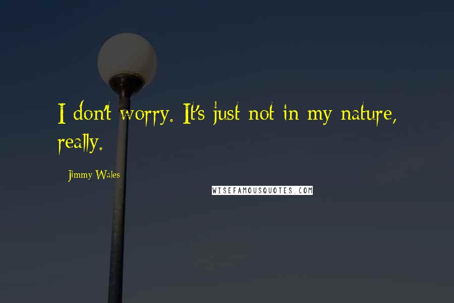 Jimmy Wales Quotes: I don't worry. It's just not in my nature, really.