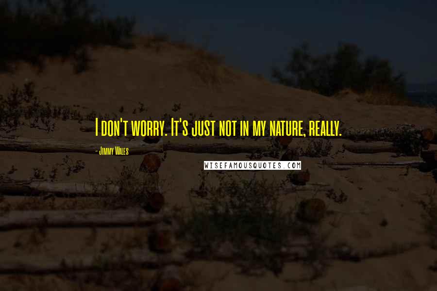 Jimmy Wales Quotes: I don't worry. It's just not in my nature, really.