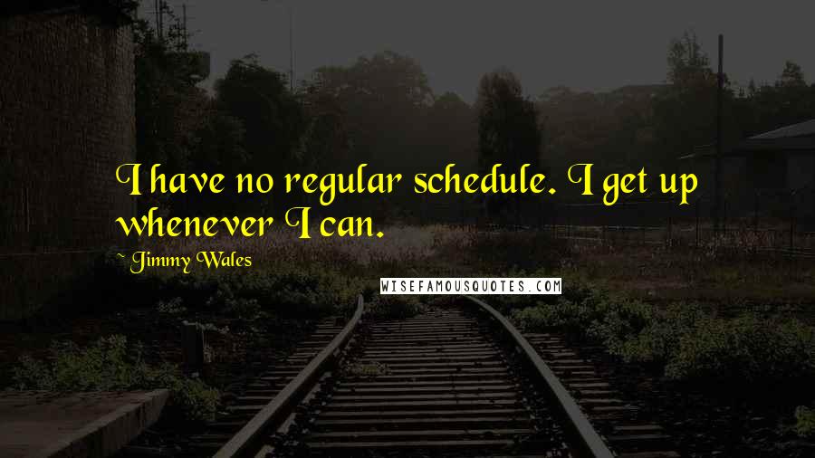 Jimmy Wales Quotes: I have no regular schedule. I get up whenever I can.