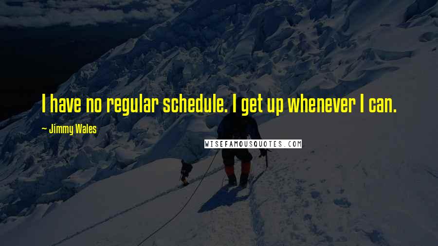 Jimmy Wales Quotes: I have no regular schedule. I get up whenever I can.