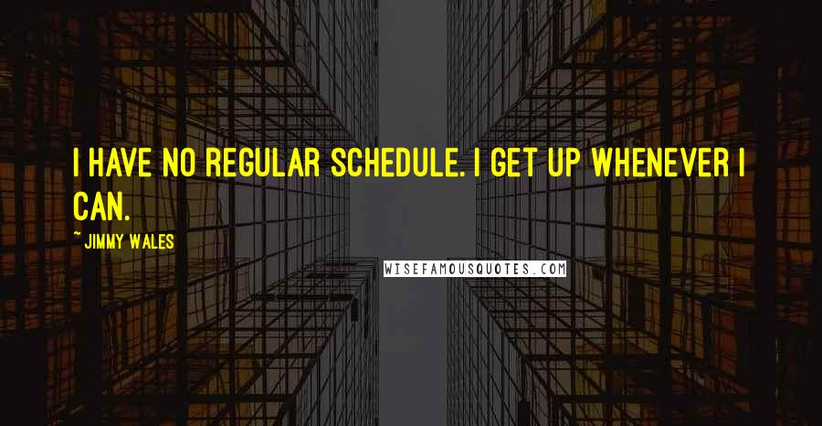 Jimmy Wales Quotes: I have no regular schedule. I get up whenever I can.