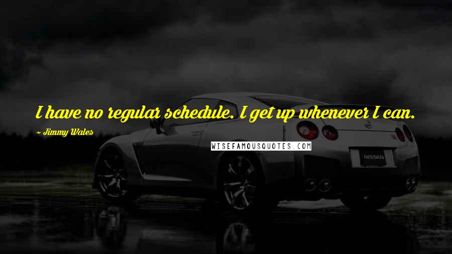 Jimmy Wales Quotes: I have no regular schedule. I get up whenever I can.
