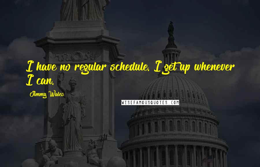 Jimmy Wales Quotes: I have no regular schedule. I get up whenever I can.