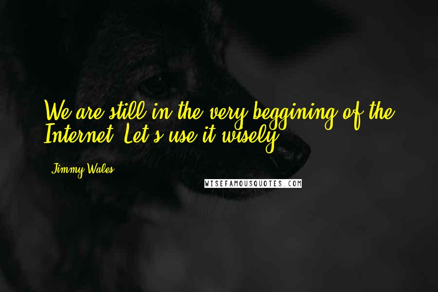 Jimmy Wales Quotes: We are still in the very beggining of the Internet. Let's use it wisely.