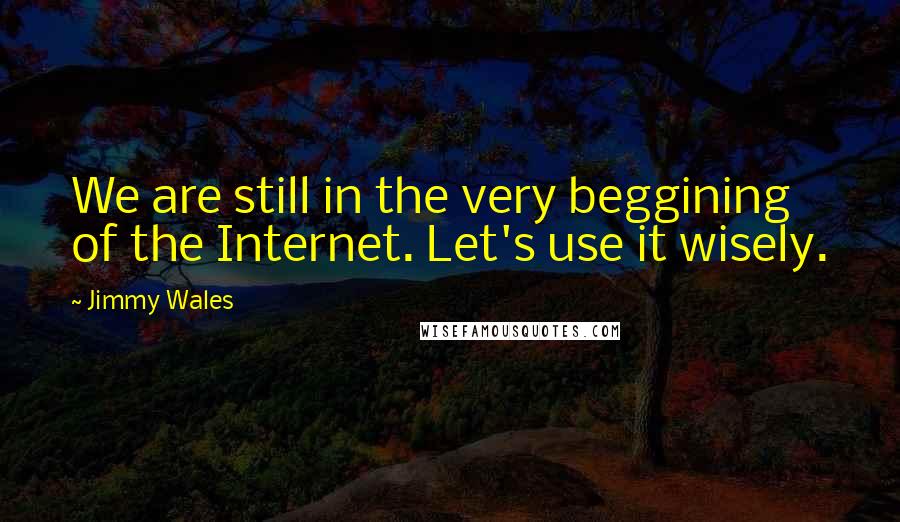 Jimmy Wales Quotes: We are still in the very beggining of the Internet. Let's use it wisely.