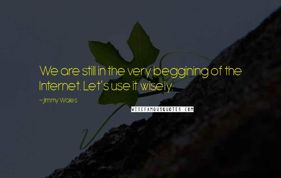 Jimmy Wales Quotes: We are still in the very beggining of the Internet. Let's use it wisely.