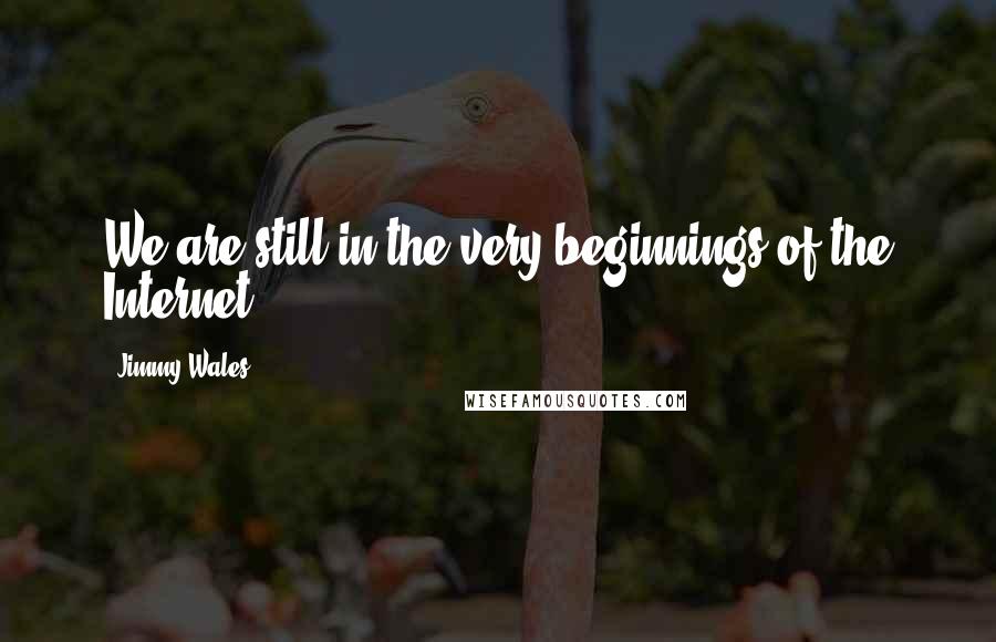 Jimmy Wales Quotes: We are still in the very beginnings of the Internet.