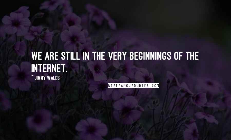 Jimmy Wales Quotes: We are still in the very beginnings of the Internet.