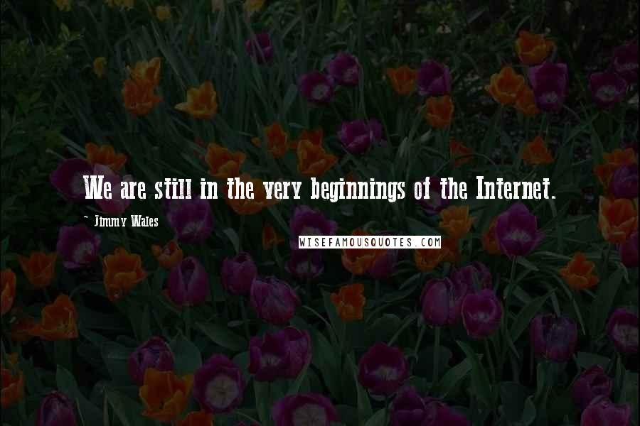 Jimmy Wales Quotes: We are still in the very beginnings of the Internet.