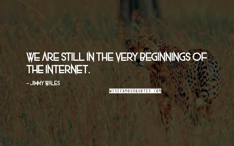 Jimmy Wales Quotes: We are still in the very beginnings of the Internet.