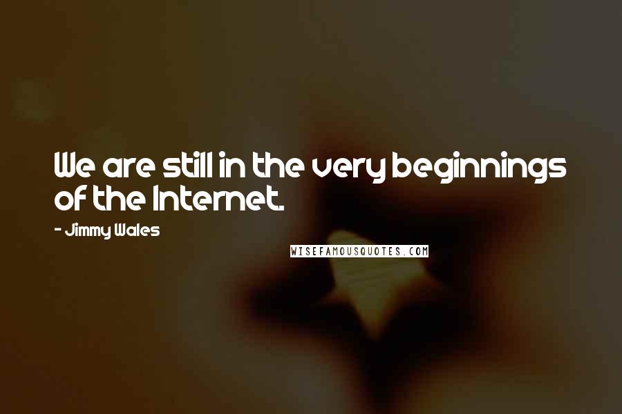 Jimmy Wales Quotes: We are still in the very beginnings of the Internet.