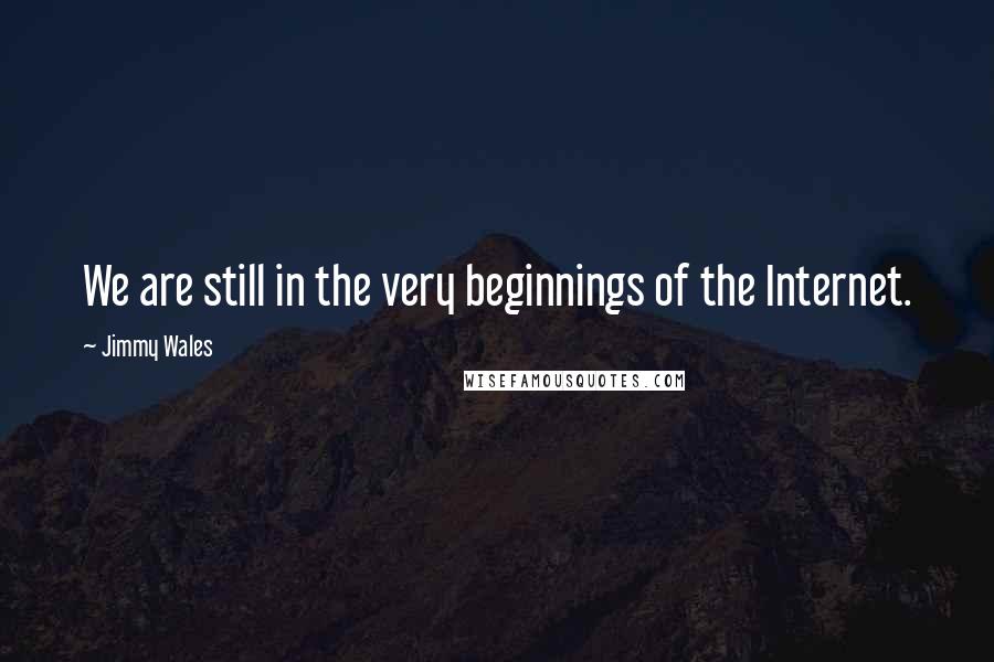 Jimmy Wales Quotes: We are still in the very beginnings of the Internet.