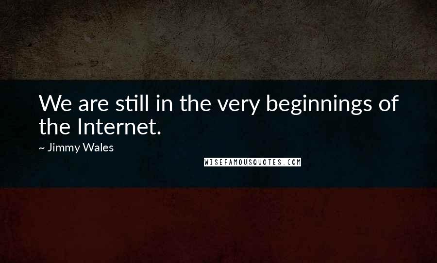 Jimmy Wales Quotes: We are still in the very beginnings of the Internet.