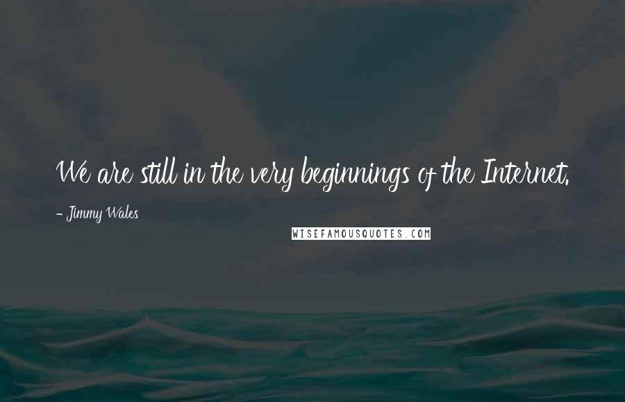 Jimmy Wales Quotes: We are still in the very beginnings of the Internet.