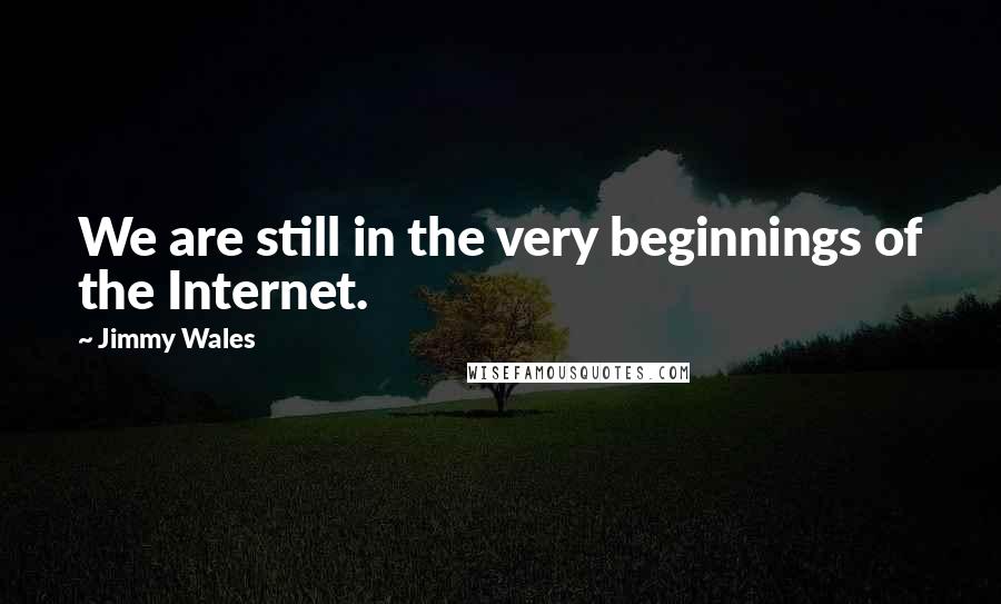 Jimmy Wales Quotes: We are still in the very beginnings of the Internet.