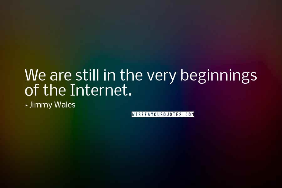 Jimmy Wales Quotes: We are still in the very beginnings of the Internet.