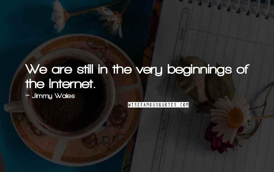 Jimmy Wales Quotes: We are still in the very beginnings of the Internet.