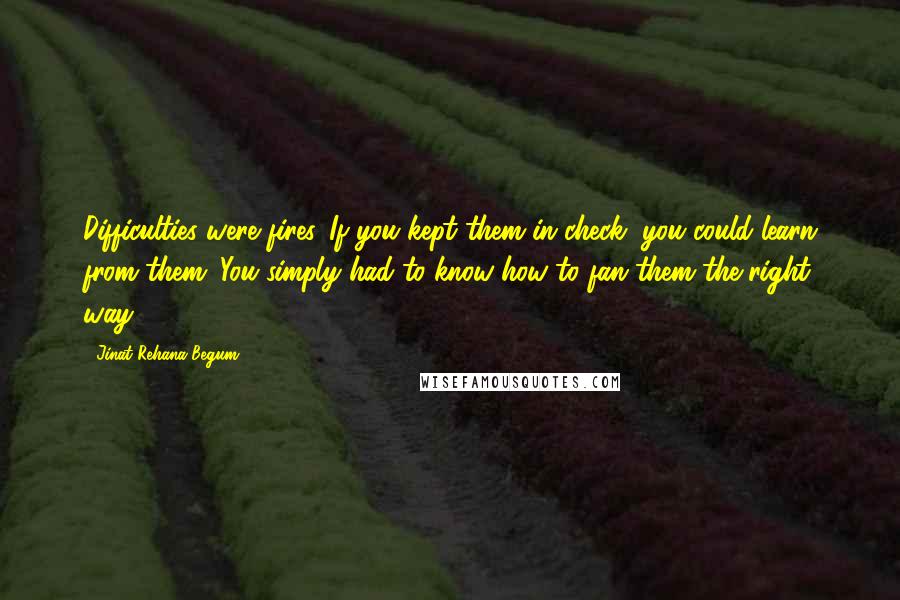 Jinat Rehana Begum Quotes: Difficulties were fires. If you kept them in check, you could learn from them. You simply had to know how to fan them the right way.