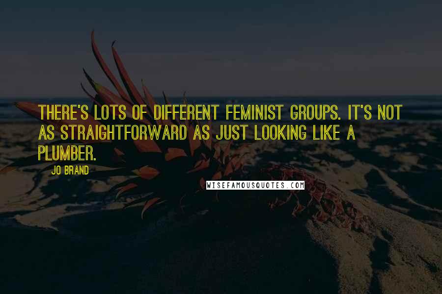 Jo Brand Quotes: There's lots of different feminist groups. It's not as straightforward as just looking like a plumber.