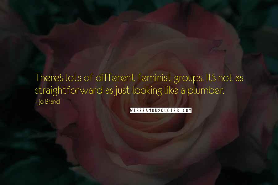 Jo Brand Quotes: There's lots of different feminist groups. It's not as straightforward as just looking like a plumber.