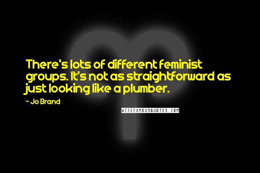 Jo Brand Quotes: There's lots of different feminist groups. It's not as straightforward as just looking like a plumber.