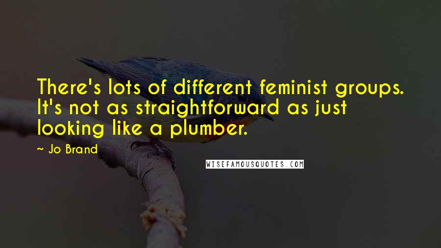 Jo Brand Quotes: There's lots of different feminist groups. It's not as straightforward as just looking like a plumber.