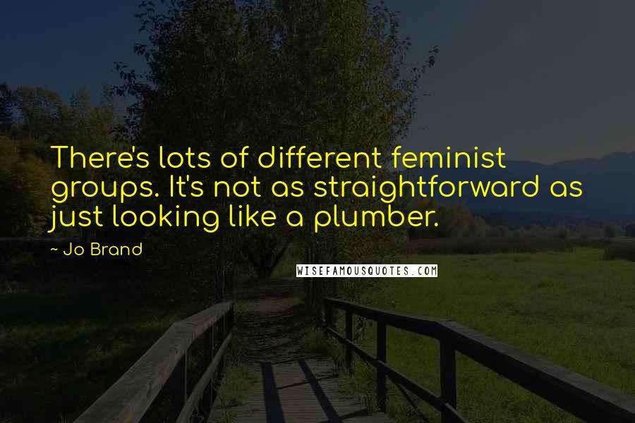 Jo Brand Quotes: There's lots of different feminist groups. It's not as straightforward as just looking like a plumber.