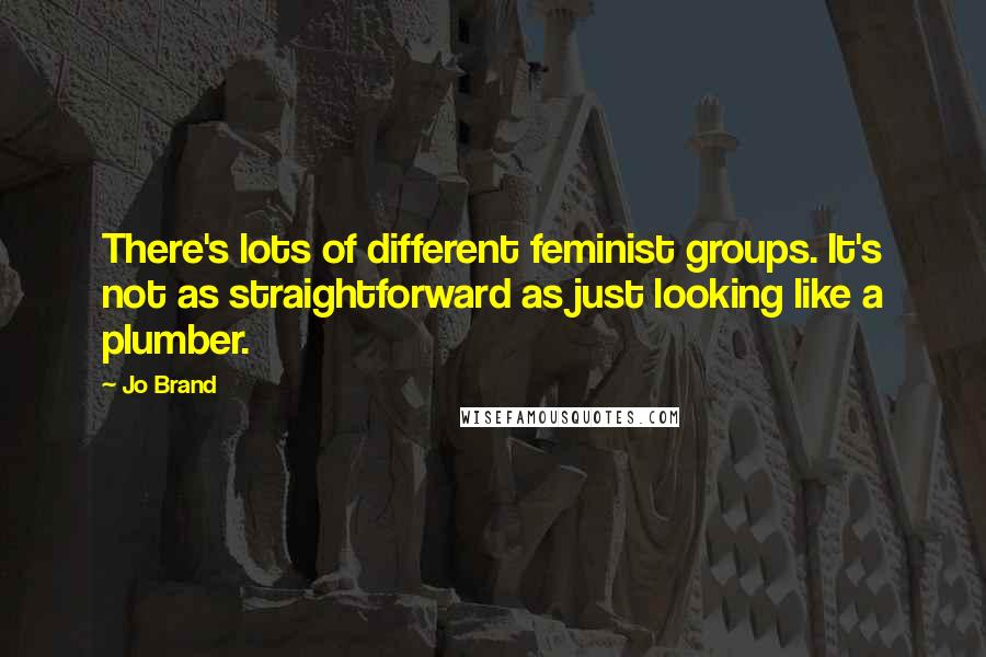 Jo Brand Quotes: There's lots of different feminist groups. It's not as straightforward as just looking like a plumber.