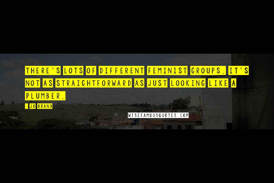 Jo Brand Quotes: There's lots of different feminist groups. It's not as straightforward as just looking like a plumber.