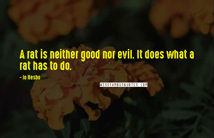 Jo Nesbo Quotes: A rat is neither good nor evil. It does what a rat has to do.