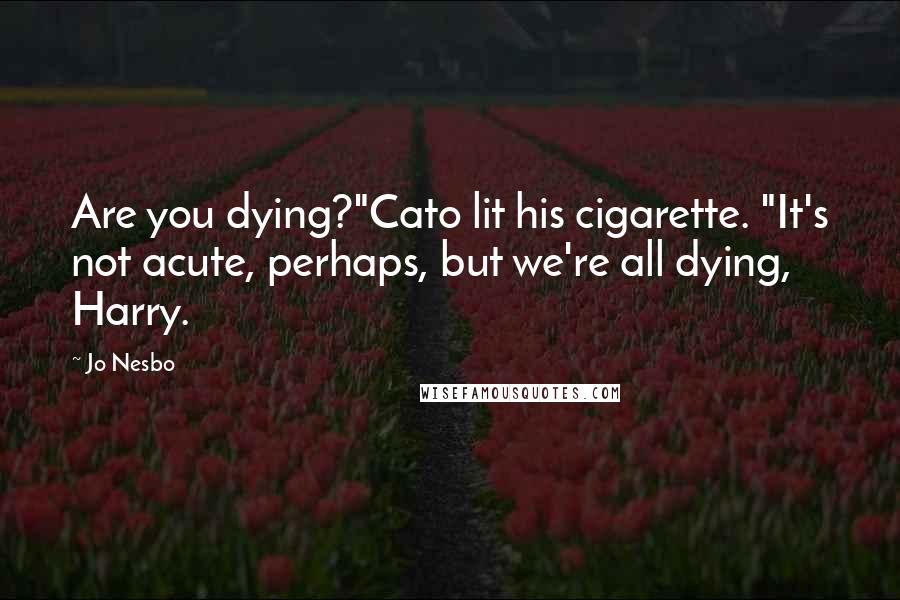 Jo Nesbo Quotes: Are you dying?"Cato lit his cigarette. "It's not acute, perhaps, but we're all dying, Harry.