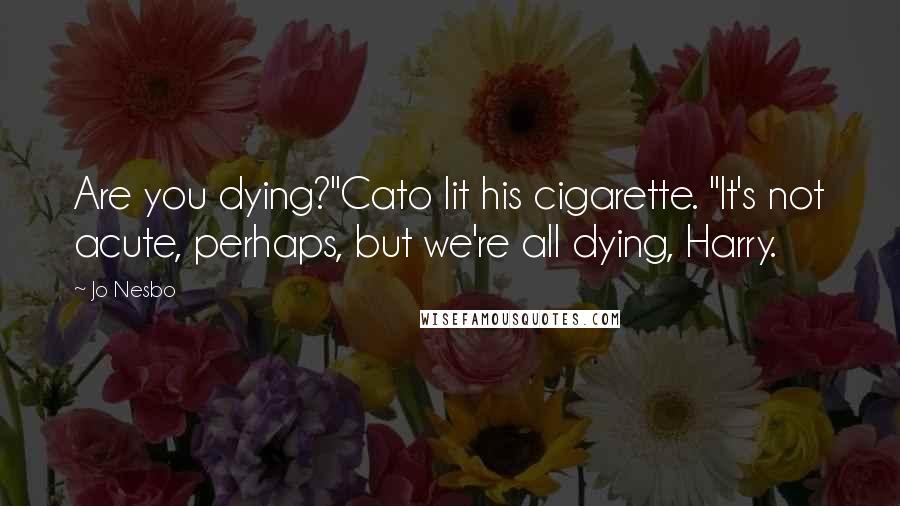 Jo Nesbo Quotes: Are you dying?"Cato lit his cigarette. "It's not acute, perhaps, but we're all dying, Harry.