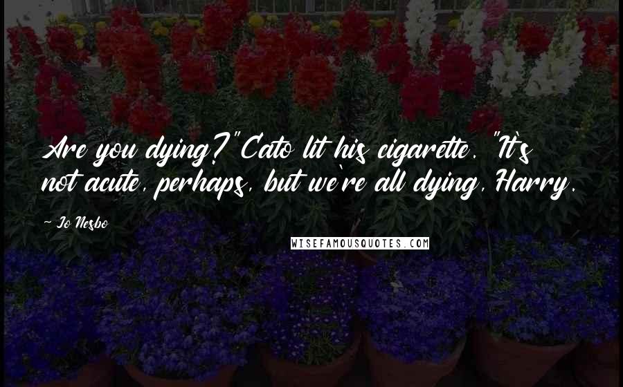 Jo Nesbo Quotes: Are you dying?"Cato lit his cigarette. "It's not acute, perhaps, but we're all dying, Harry.