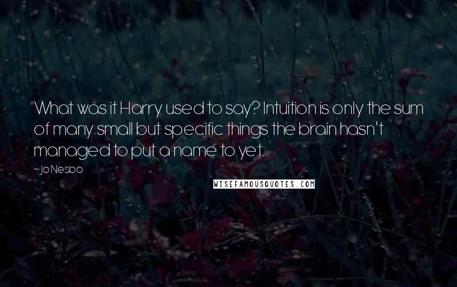 Jo Nesbo Quotes: What was it Harry used to say? Intuition is only the sum of many small but specific things the brain hasn't managed to put a name to yet.