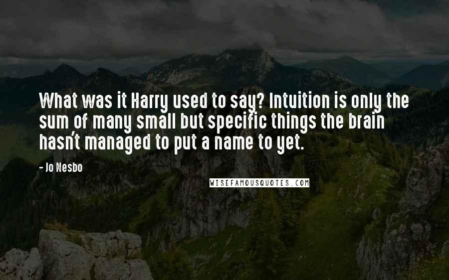 Jo Nesbo Quotes: What was it Harry used to say? Intuition is only the sum of many small but specific things the brain hasn't managed to put a name to yet.